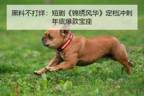 黑料不打烊：短剧《锦绣风华》定档冲刺年底爆款宝座
